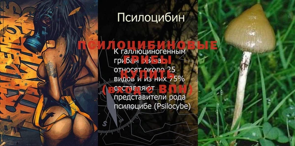 бутират Алексин