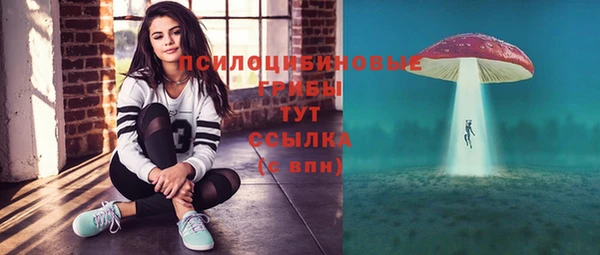 хмурый Армянск