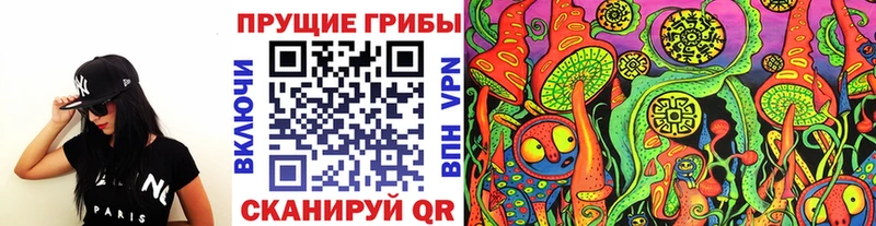 ОМГ ОМГ Печоры Галлюциногенные грибы мицелий